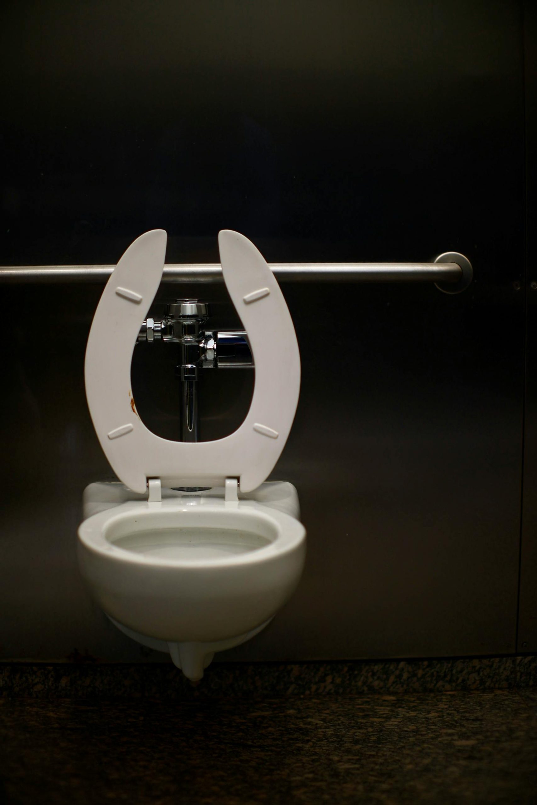 There are safety rails next to a toilet